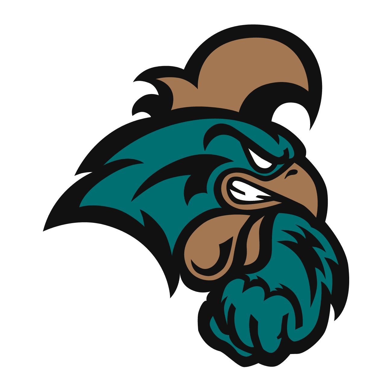 Coastal Carolina logo